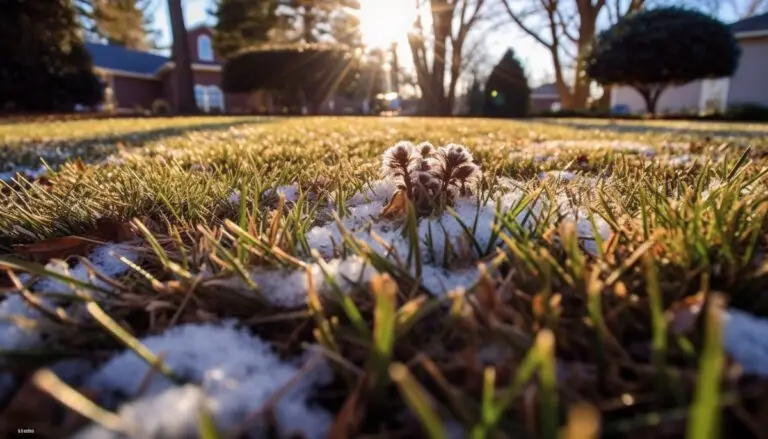 Pourquoi l’herbe de ma pelouse est-elle brune en hiver ?