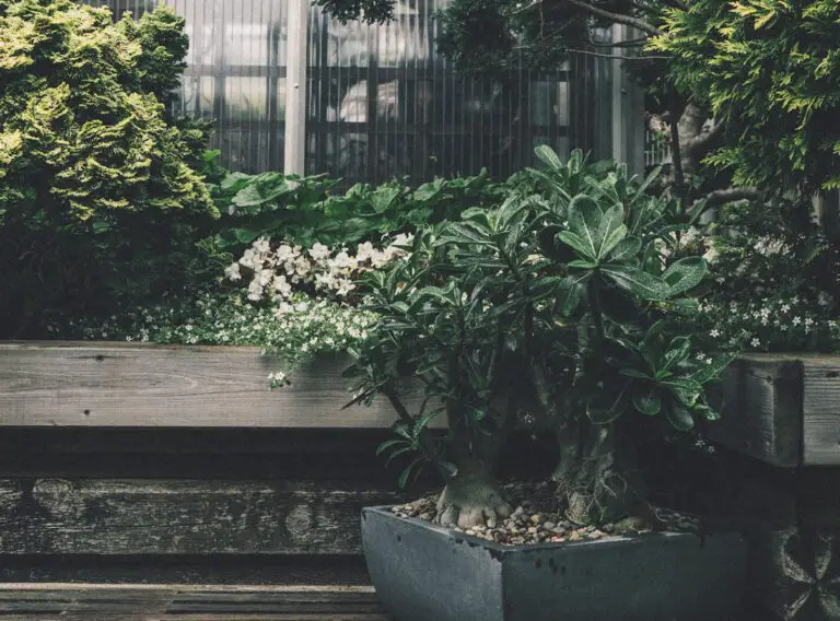 Créer un coin détente parfait dans votre jardin