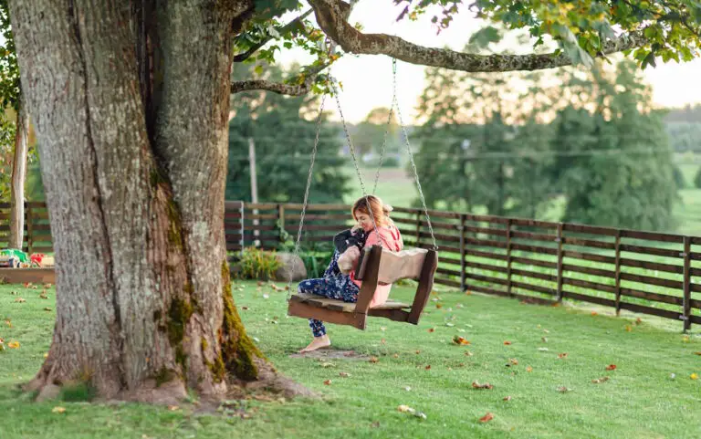 Aménagement paysager sous un arbre : une touche naturelle et esthétique