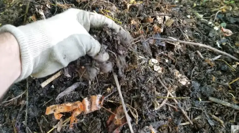 compost avec vieux sacs de terreau