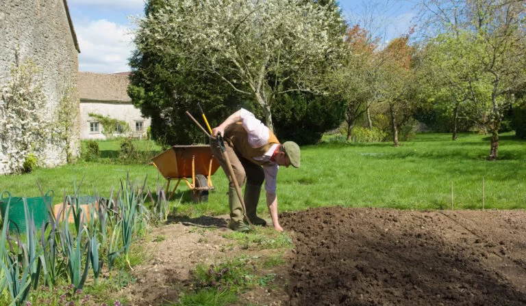 Faut-il désherber avant de retourner la terre pour préparer son jardin ?