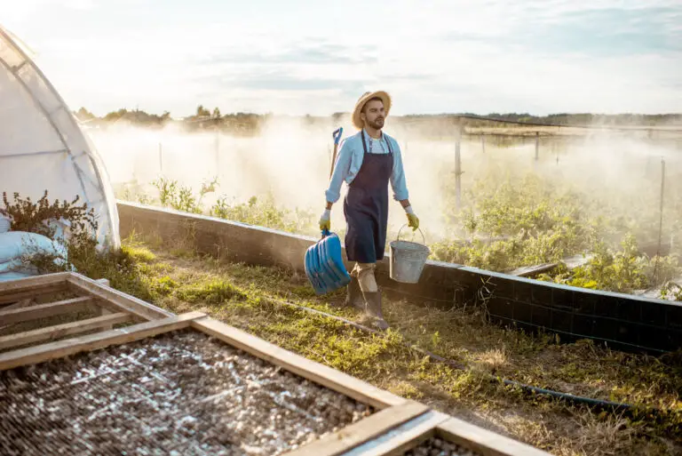 L’importance de l’irrigation pour prévenir le gel dans votre jardin