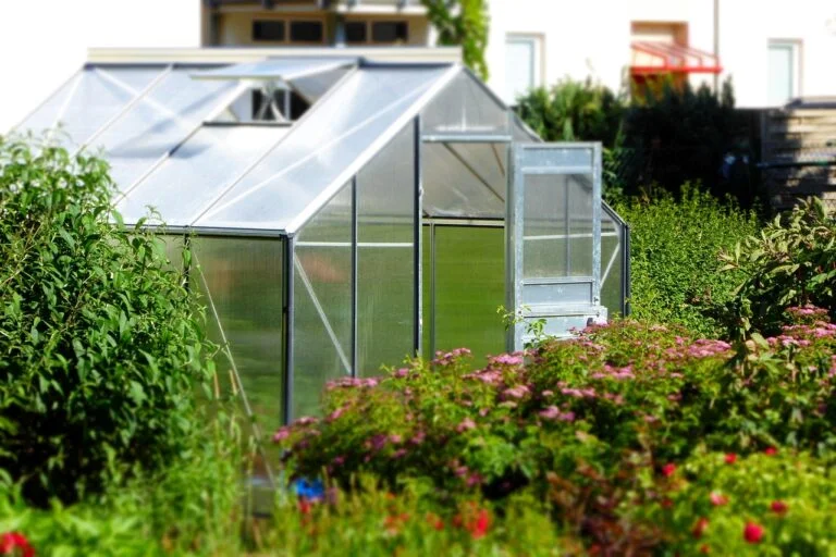 Où acheter des serres de jardin en verre ACD ? Nos conseils