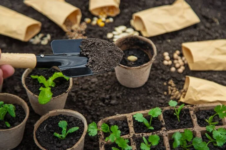 Quels légumes semer en mars pour une récolte d’été abondante ?