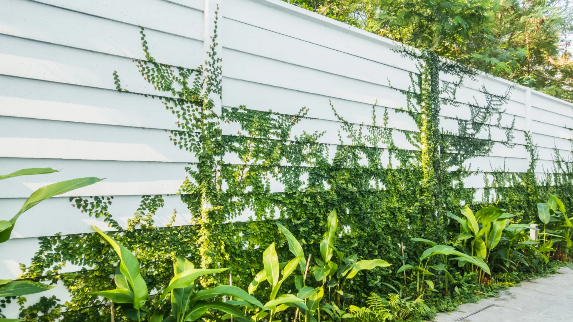 Les brise-vues : l'accessoire indispensable pour un jardin intimiste